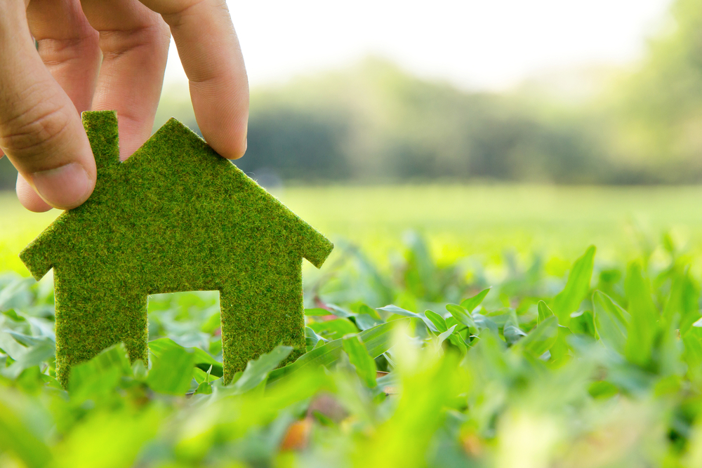 Green Living: Top 10 Eco-Friendly Projects for Your Homestead