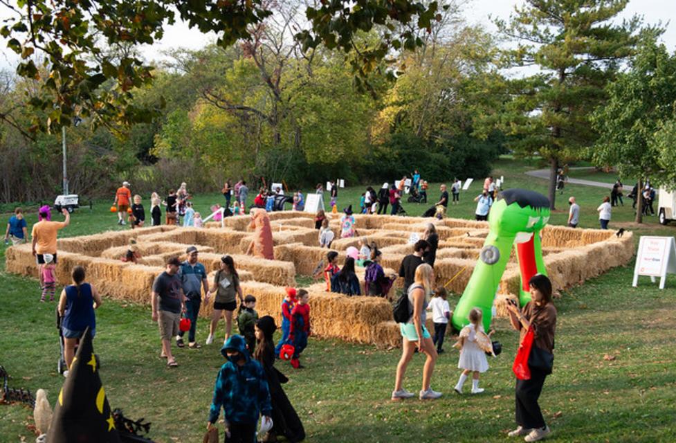 Global Whirl: Top 10 Must-Visit Fall Festivals Around the Globe
