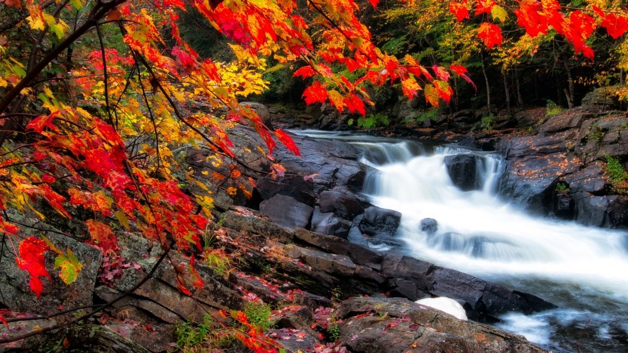 Which places are best for autumn leaf peeping?