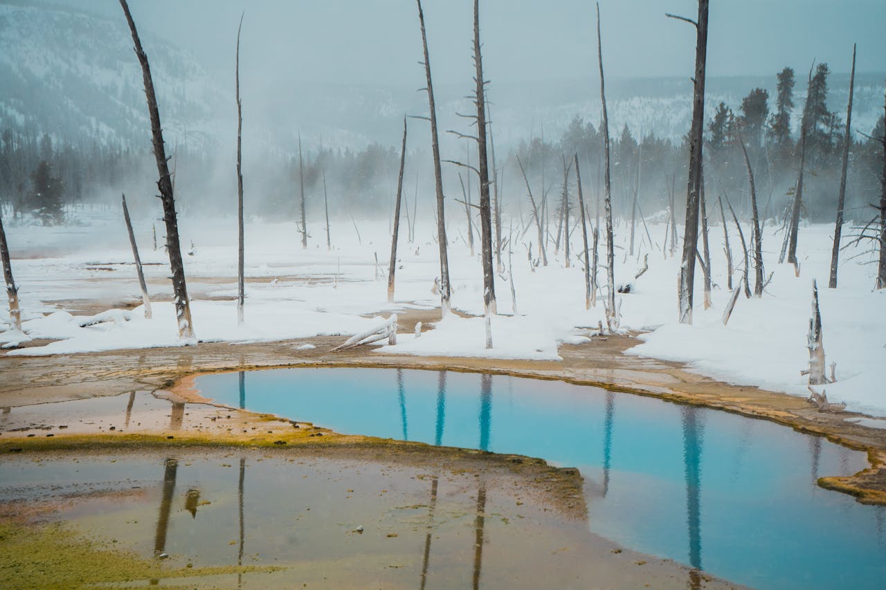Where can I find winter hot springs?