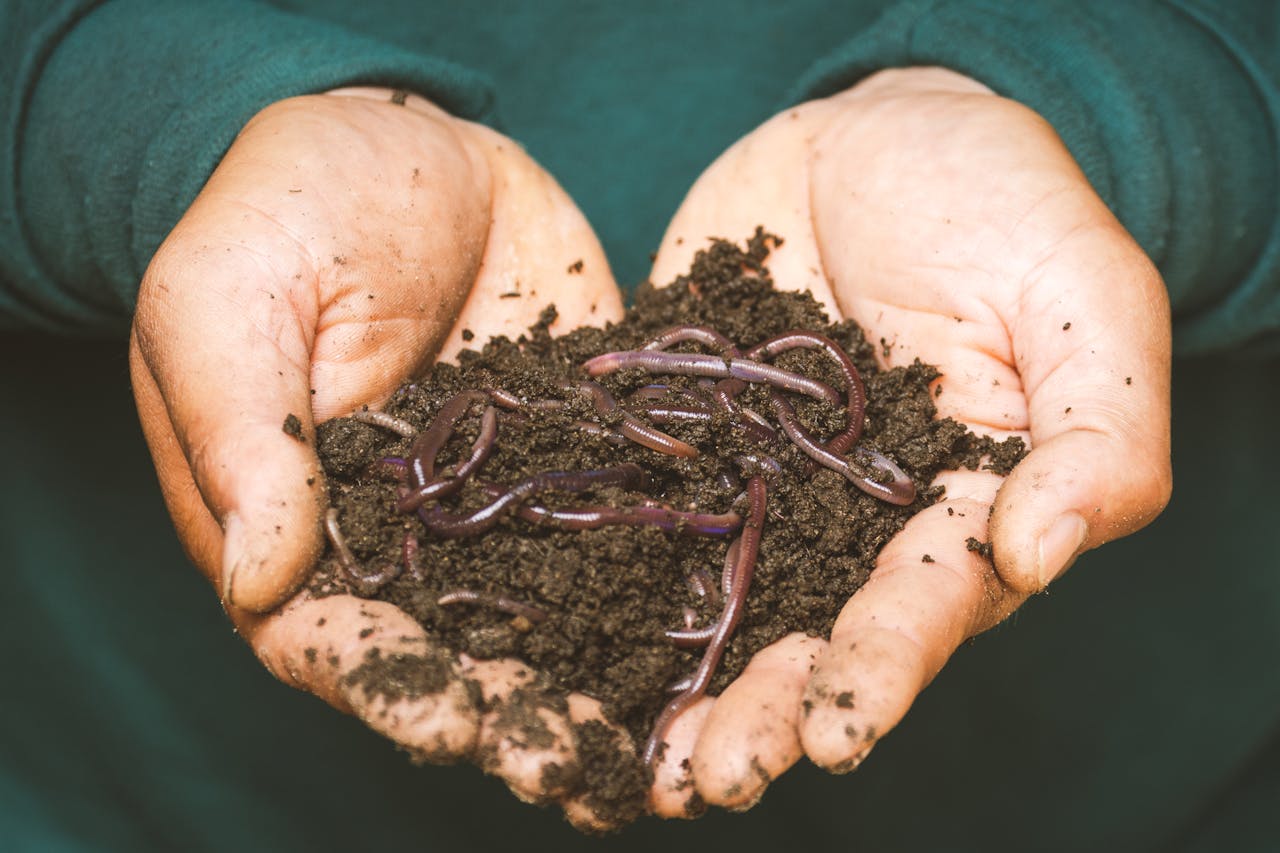 How Can I Start Composting at Home?