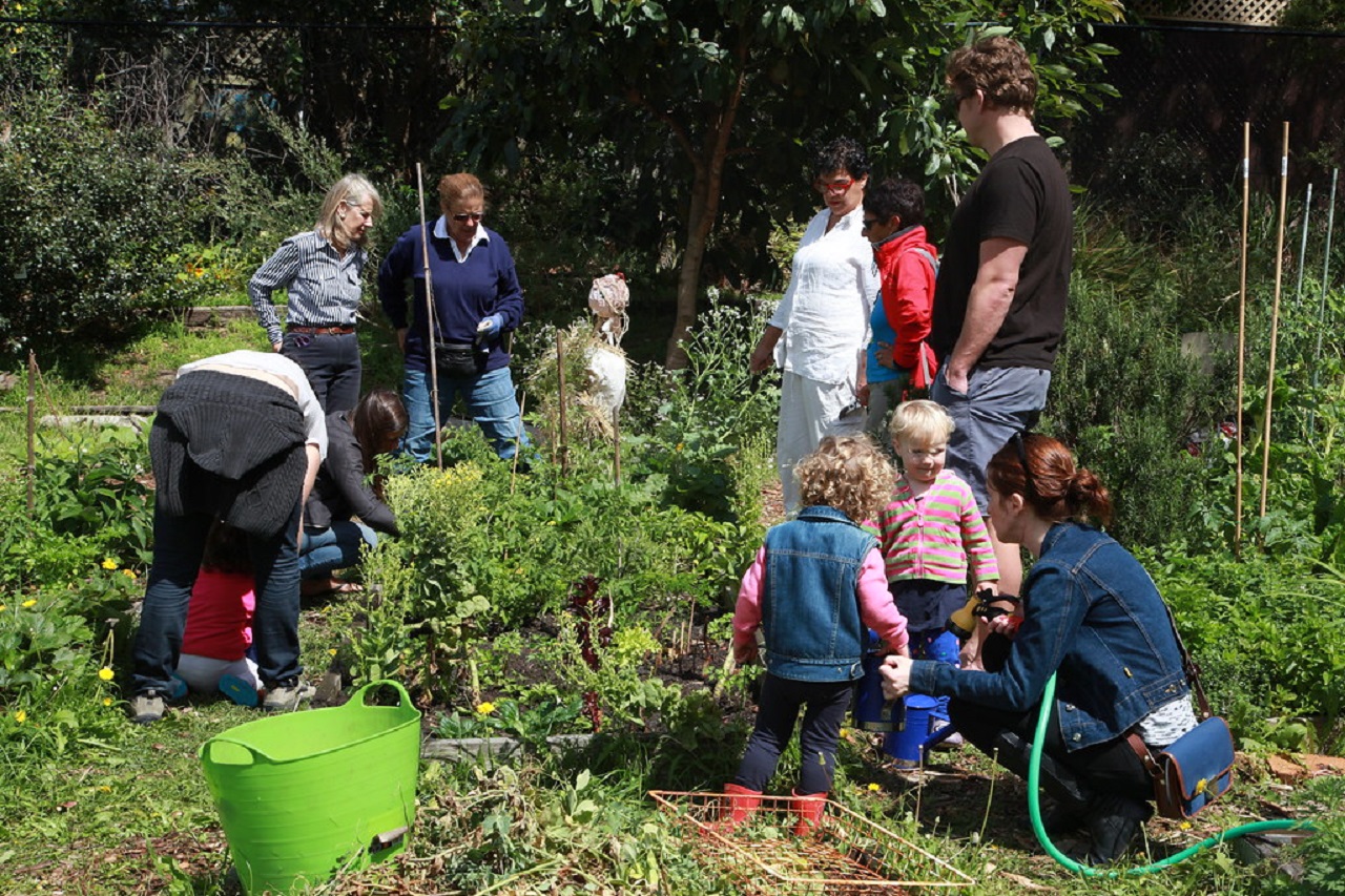 How can I start a community garden?