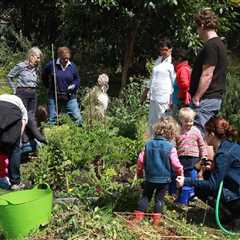 How can I start a community garden?