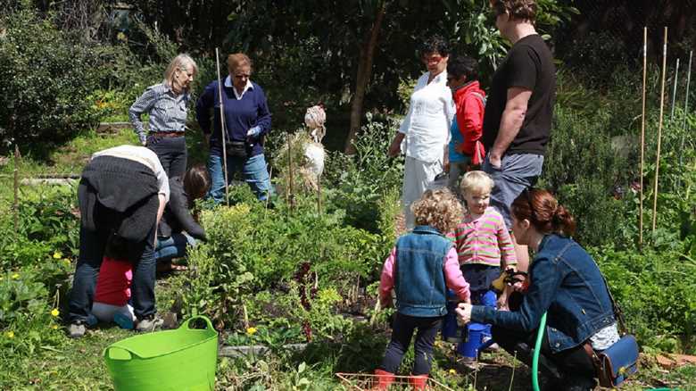 How can I start a community garden?